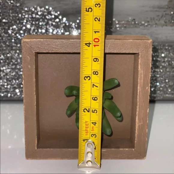 HOME DECOR Wooden Framed Faux Succulent - Picture 5 of 6